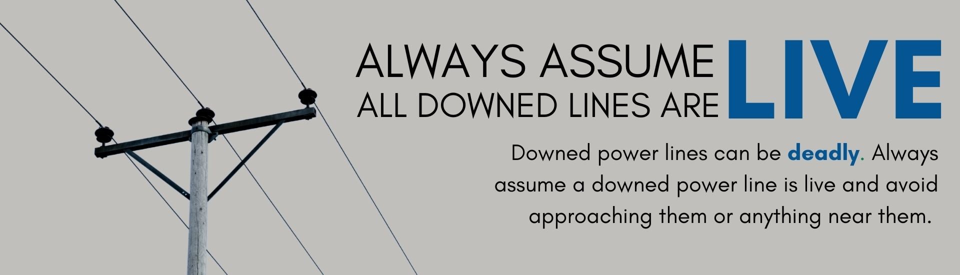 Always Assume All Downed Lines Are Live
