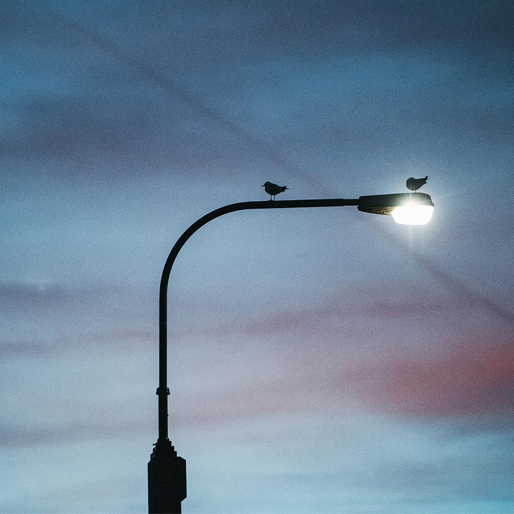 street lights