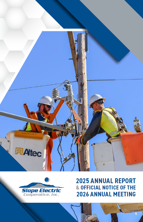Annual report